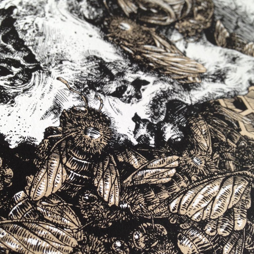 KFT_detail